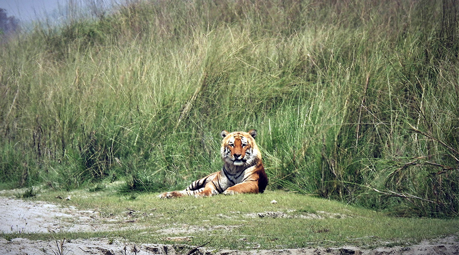 Bardia National Park