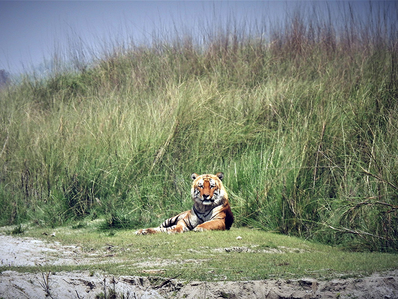 Bardia National Park