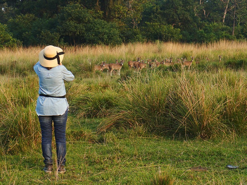 Chitwan National Park