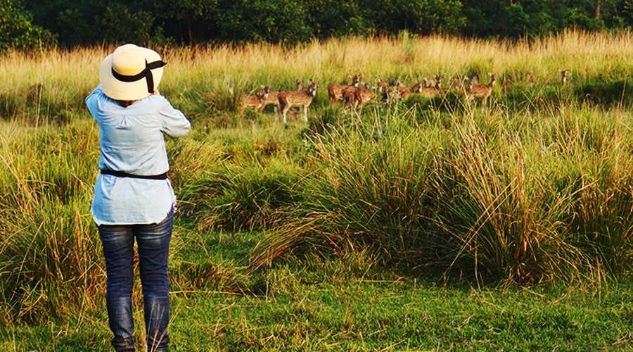 Chitwan National Park