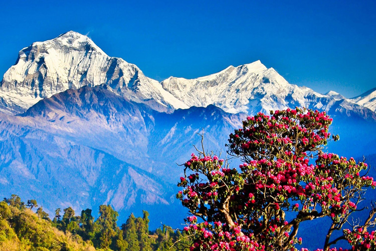 Adventure Nepal Tour